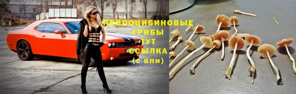МДМА Арсеньев