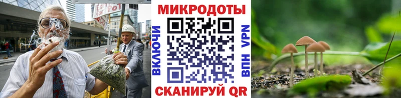 Галлюциногенные грибы GOLDEN TEACHER  кракен ссылки  Отрадный  хочу наркоту 