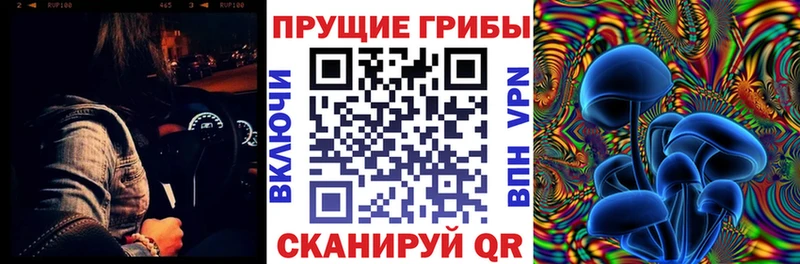 Псилоцибиновые грибы ЛСД Отрадный